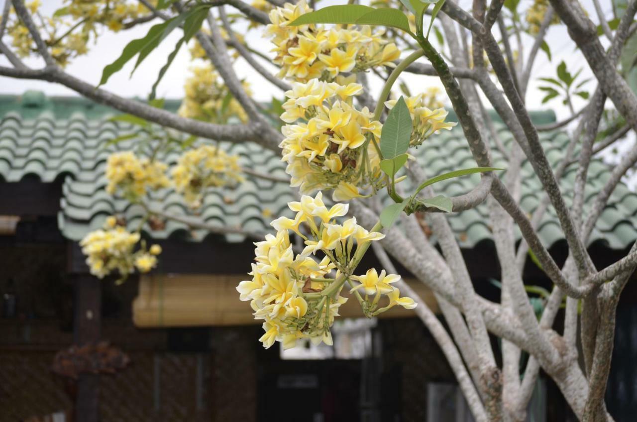 Villa Yukie Senggigi Montongbuwoh Dış mekan fotoğraf